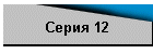 Серия 12