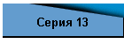 Серия 13