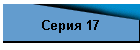 Серия 17