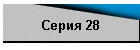 Серия 28